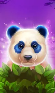 Luck of Panda: Bonus Combo