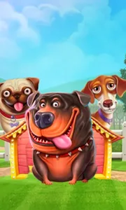 The Dog House